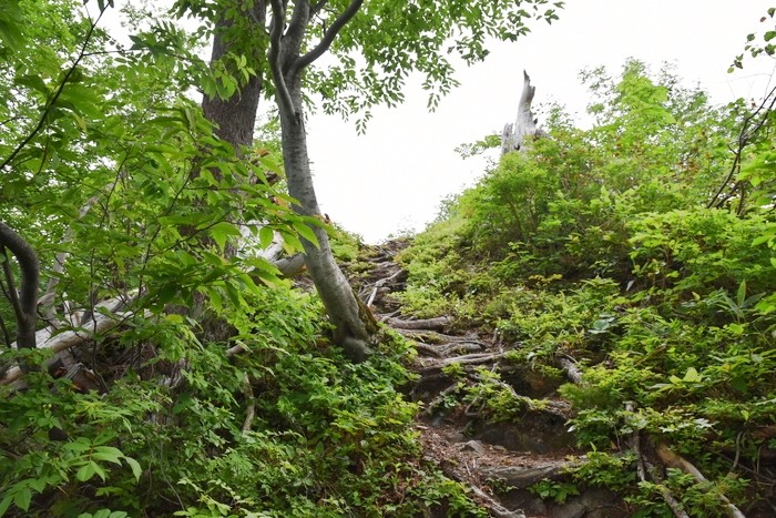 f:id:threepeaks:20210615222707j:plain