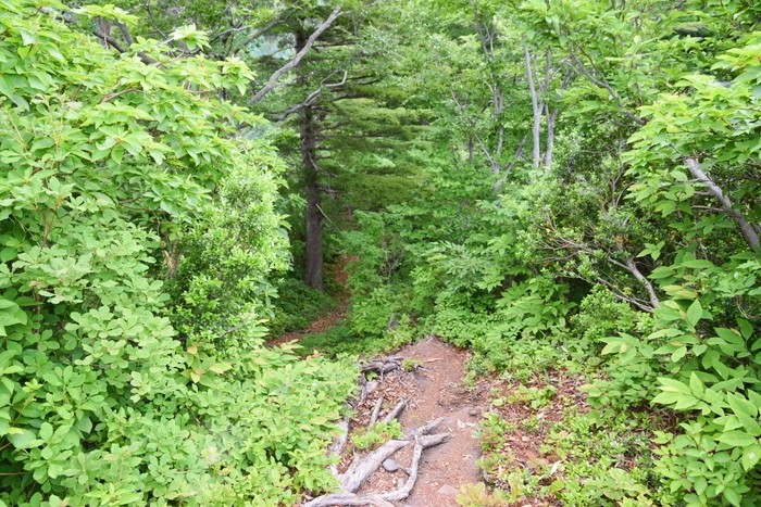 f:id:threepeaks:20210616201056j:plain