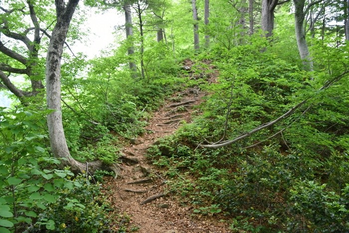 f:id:threepeaks:20210616201246j:plain