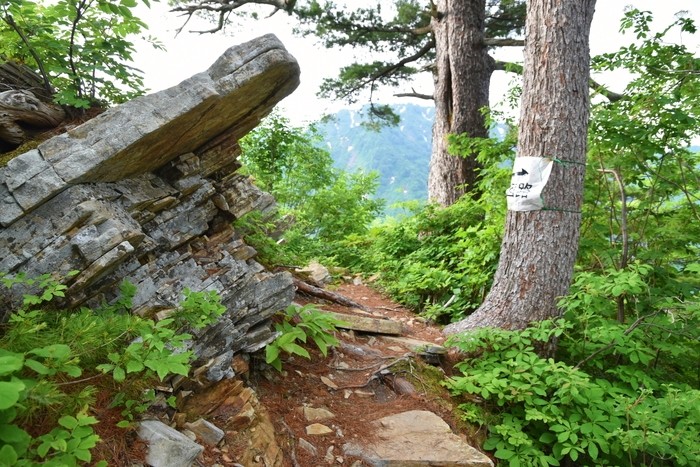 f:id:threepeaks:20210616210027j:plain