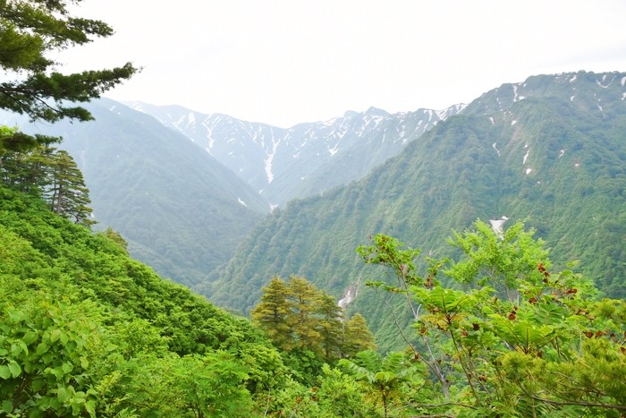 f:id:threepeaks:20210616210120j:plain