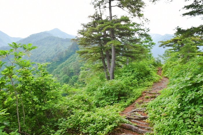 f:id:threepeaks:20210616212026j:plain