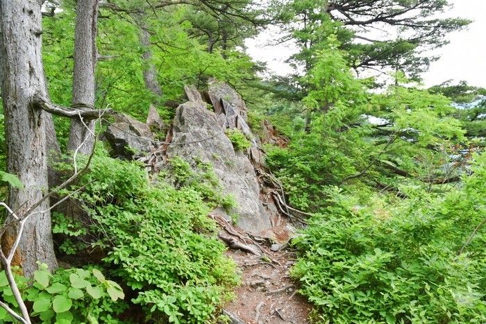 f:id:threepeaks:20210616212148j:plain