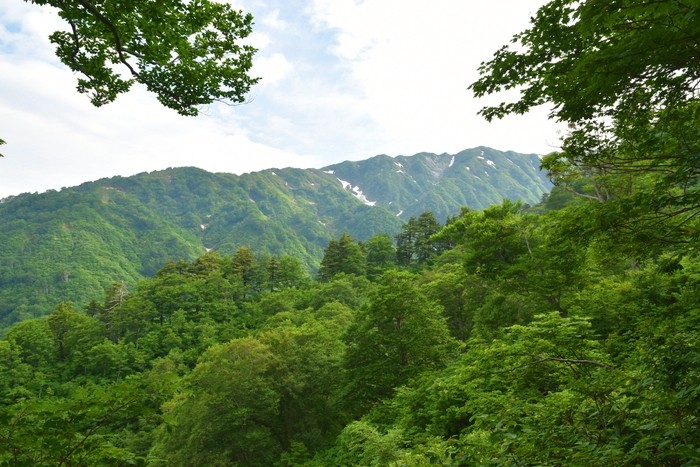 f:id:threepeaks:20210616212810j:plain