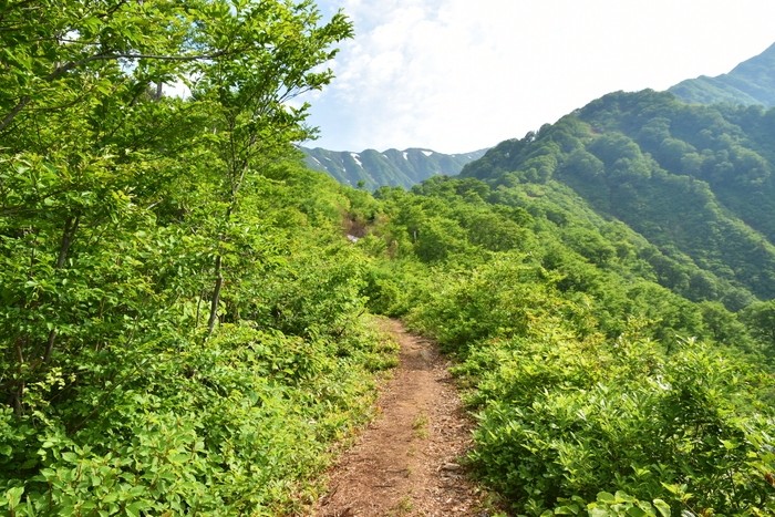 f:id:threepeaks:20210616212958j:plain