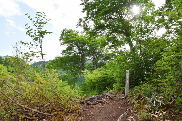 f:id:threepeaks:20210616213219j:plain