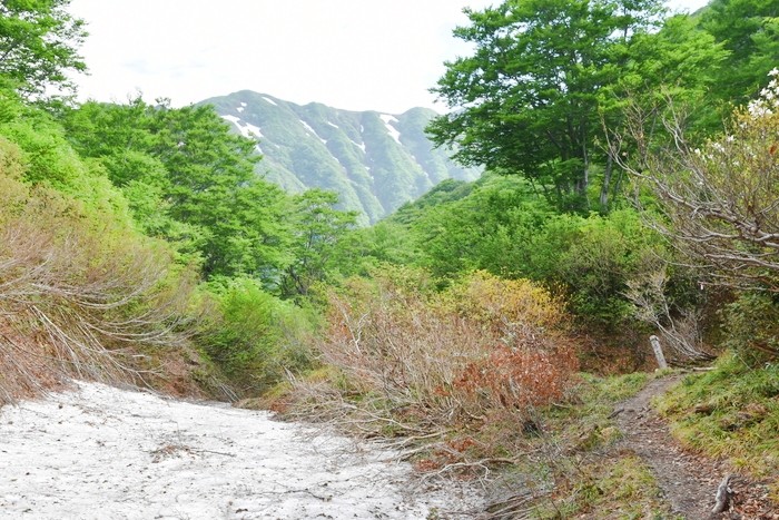 f:id:threepeaks:20210618203100j:plain