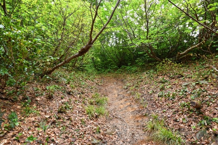 f:id:threepeaks:20210618203244j:plain