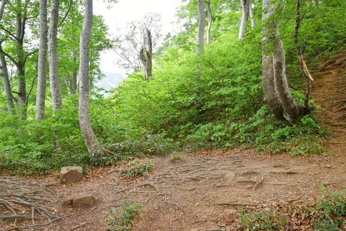 f:id:threepeaks:20210618203524j:plain