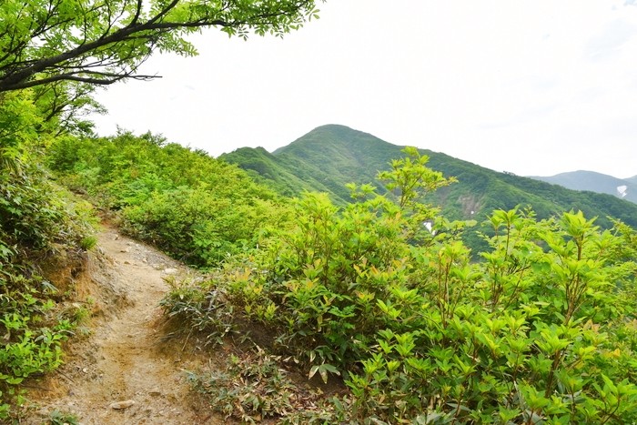 f:id:threepeaks:20210618203950j:plain