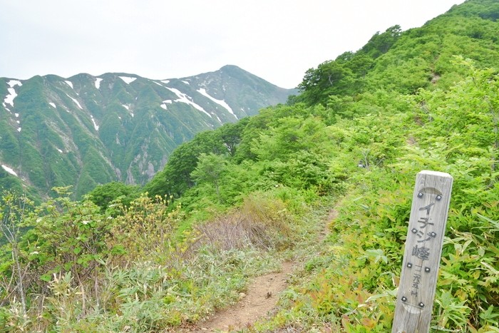 f:id:threepeaks:20210618204047j:plain