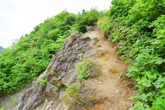 f:id:threepeaks:20210618204124j:plain