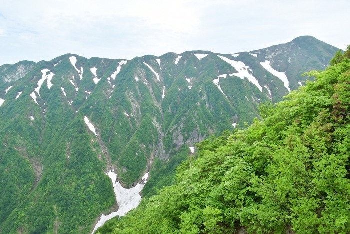 f:id:threepeaks:20210618204152j:plain