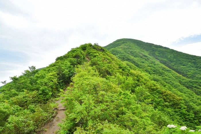 f:id:threepeaks:20210618204242j:plain