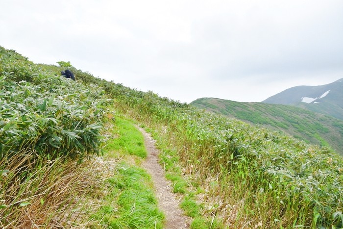 f:id:threepeaks:20210618204549j:plain