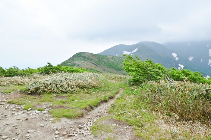 f:id:threepeaks:20210618204654j:plain