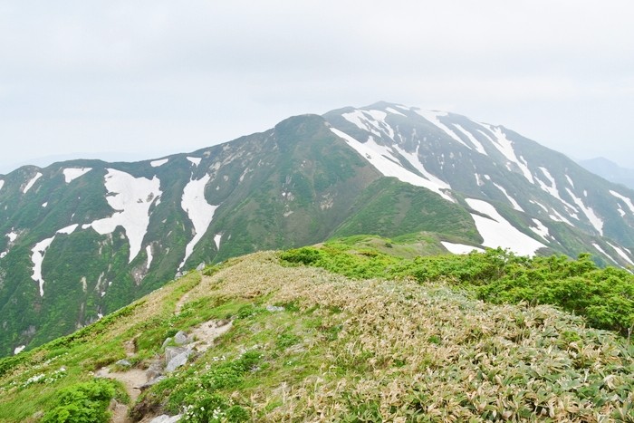 f:id:threepeaks:20210618204914j:plain