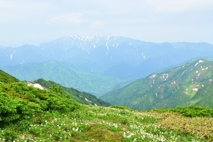 f:id:threepeaks:20210618212754j:plain