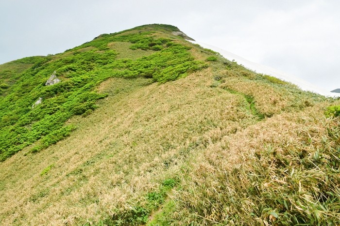 f:id:threepeaks:20210618213137j:plain