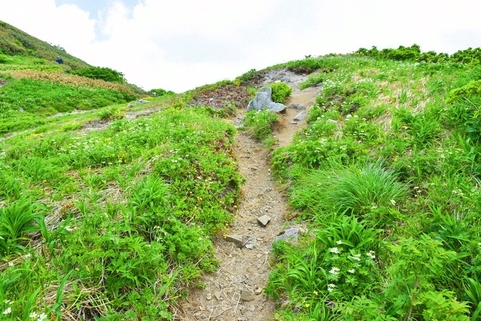 f:id:threepeaks:20210618221608j:plain