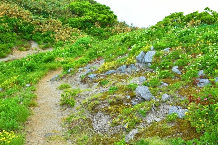 f:id:threepeaks:20210618222241j:plain