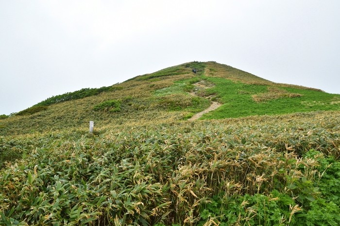 f:id:threepeaks:20210618223255j:plain