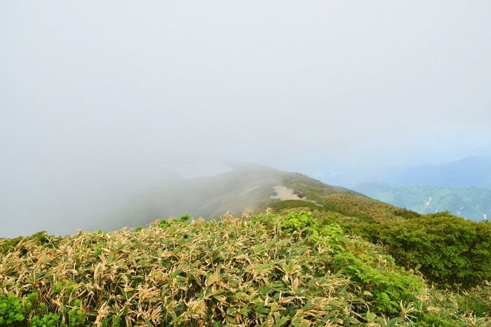 f:id:threepeaks:20210618223517j:plain