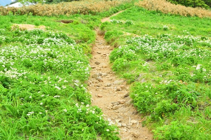 f:id:threepeaks:20210618230235j:plain