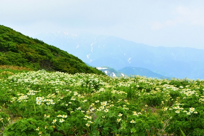 f:id:threepeaks:20210618231317j:plain