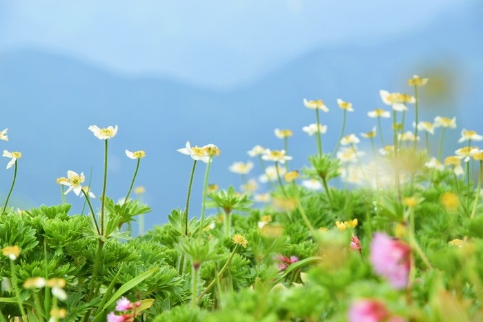 f:id:threepeaks:20210618231414j:plain