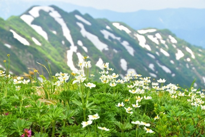 f:id:threepeaks:20210618231430j:plain