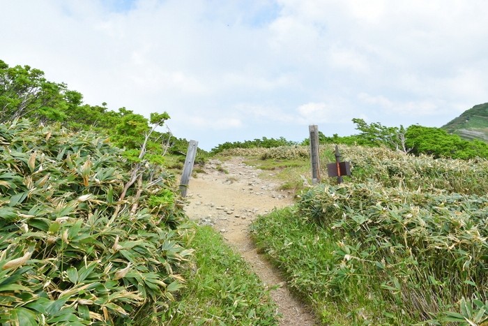 f:id:threepeaks:20210618231924j:plain