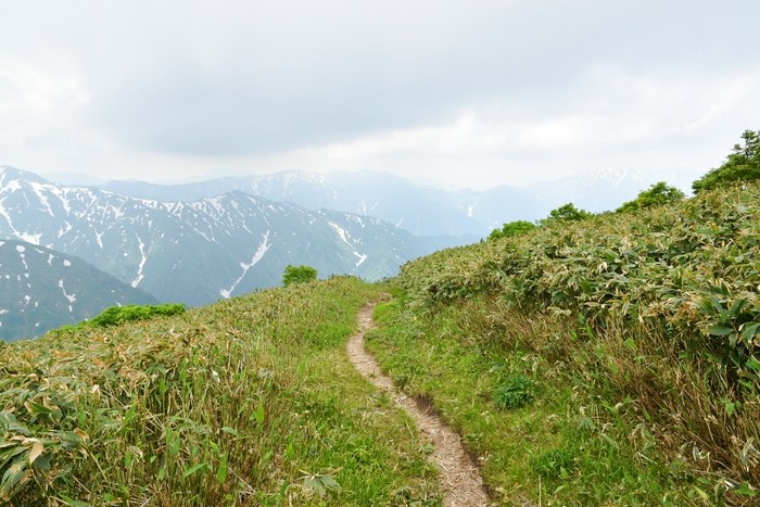 f:id:threepeaks:20210618232444j:plain