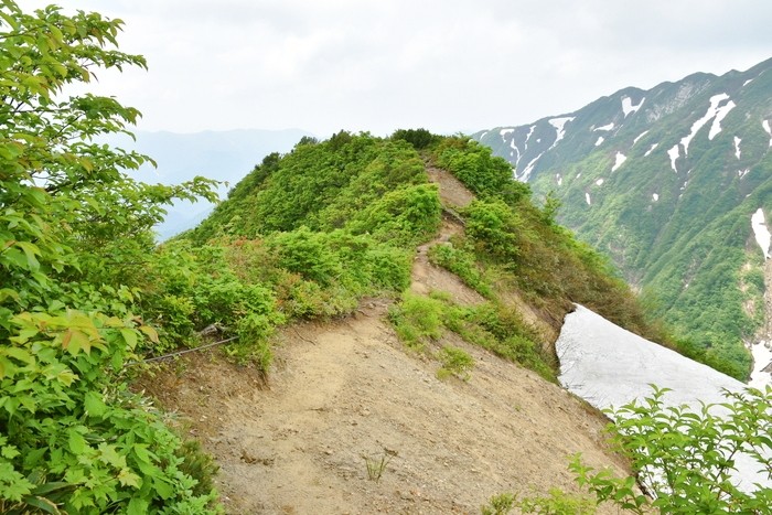 f:id:threepeaks:20210618232644j:plain