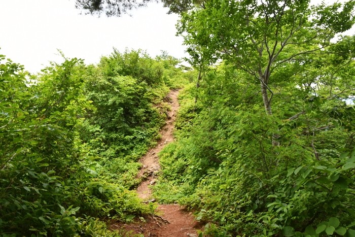 f:id:threepeaks:20210618233016j:plain