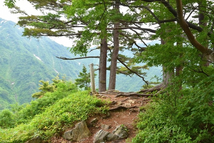 f:id:threepeaks:20210618233203j:plain