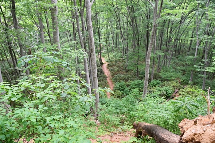 f:id:threepeaks:20210618233249j:plain