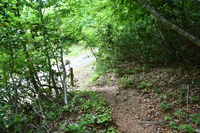 f:id:threepeaks:20210618233517j:plain