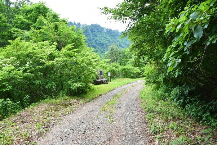 f:id:threepeaks:20210618233557j:plain