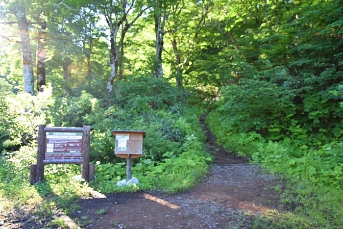 f:id:threepeaks:20210718193628j:plain