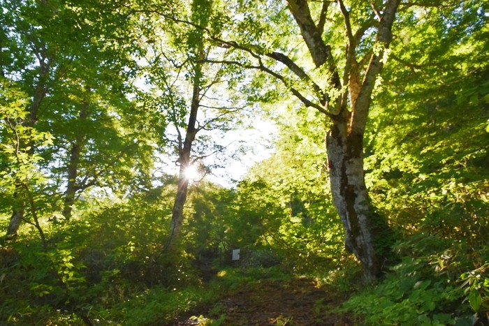 f:id:threepeaks:20210718193730j:plain