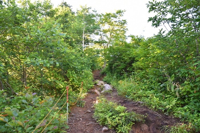 f:id:threepeaks:20210718194841j:plain