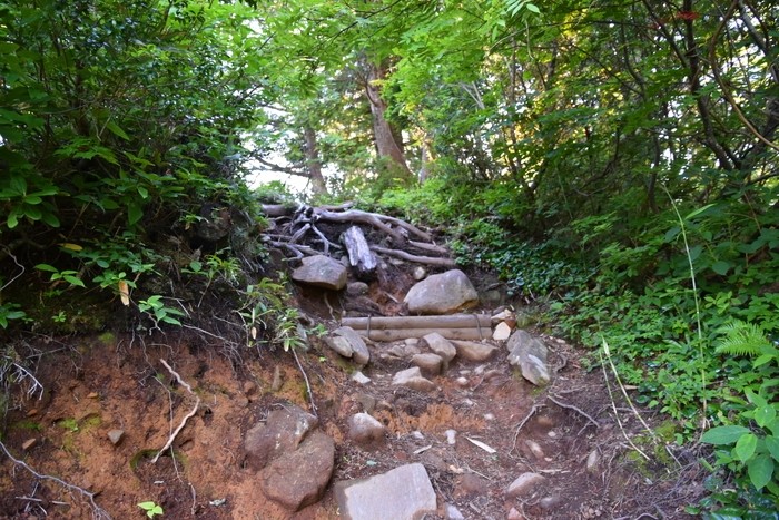 f:id:threepeaks:20210718194925j:plain