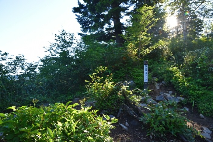 f:id:threepeaks:20210718195006j:plain