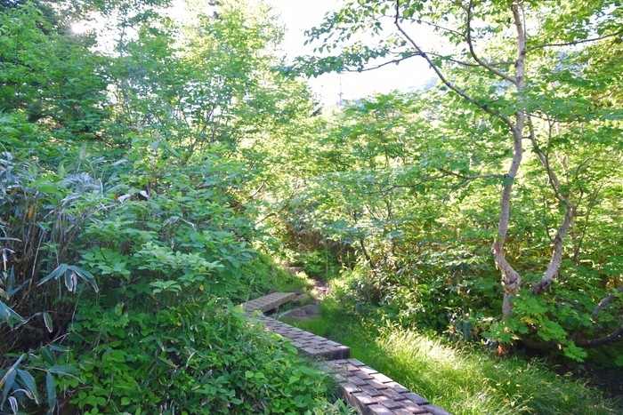 f:id:threepeaks:20210718195157j:plain