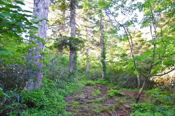 f:id:threepeaks:20210718195315j:plain