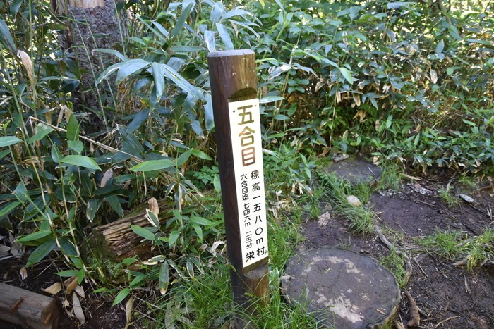 f:id:threepeaks:20210718195829j:plain