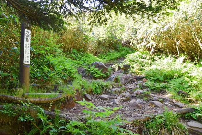 f:id:threepeaks:20210718200628j:plain