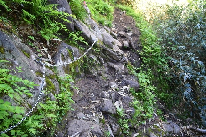 f:id:threepeaks:20210718200822j:plain