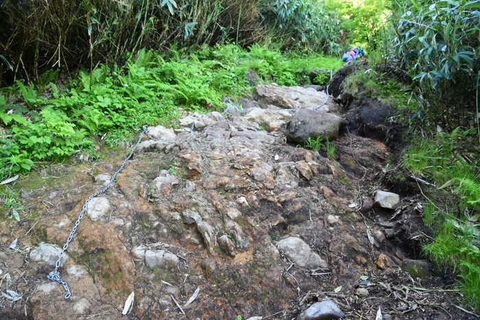 f:id:threepeaks:20210718200839j:plain